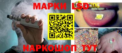 мдпв Бийск