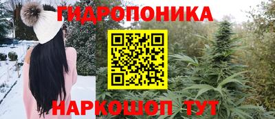 ПСИЛОЦИБИНОВЫЕ ГРИБЫ Берёзовский