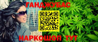мдпв Бийск