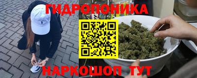 ПСИЛОЦИБИНОВЫЕ ГРИБЫ Берёзовский