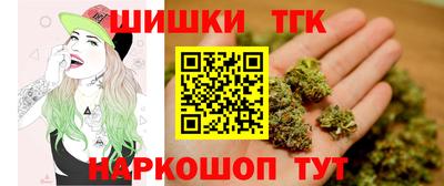 мдпв Бийск