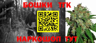 мдпв Бийск