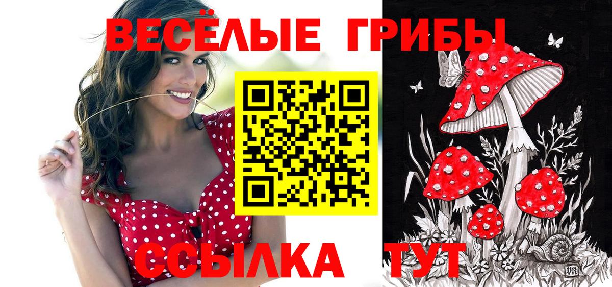 Жуковский  Галлюциногенные грибы ЛСД  Вход с VPN 